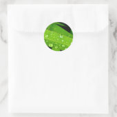 waterdruppel op bladeren ronde sticker (Tas)