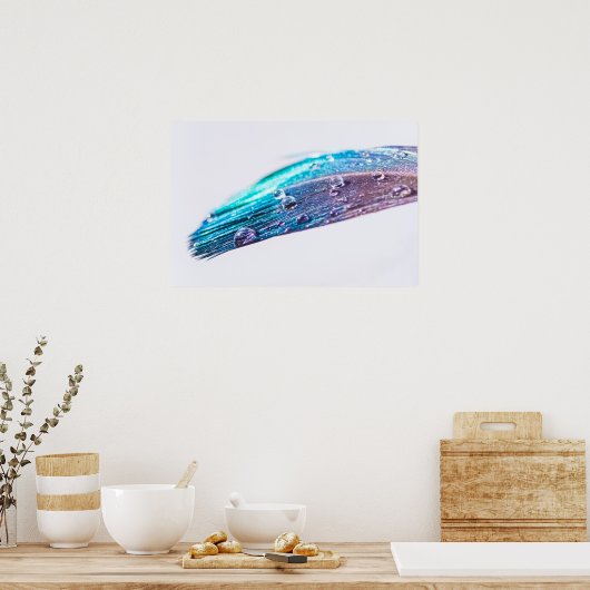 Waterdruppel op een veer poster (Keuken)