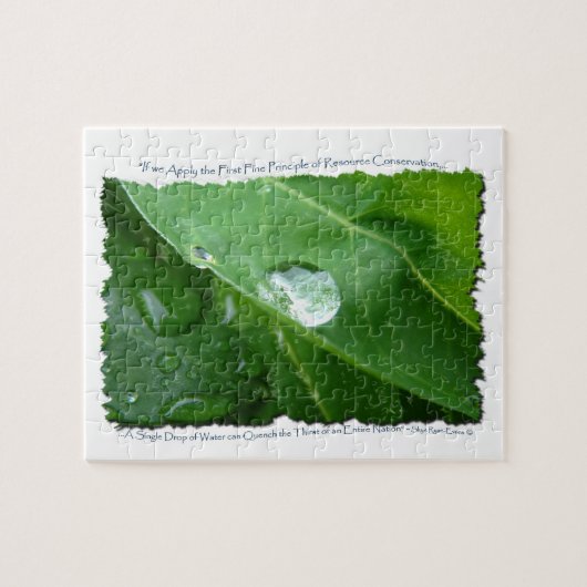 Waterdruppel op het ontwerp voor het behoud van le legpuzzel (Horizontaal)