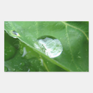 Waterdruppel op het ontwerp voor het behoud van le rechthoekige sticker