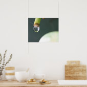 Waterdruppel Poster (Keuken)