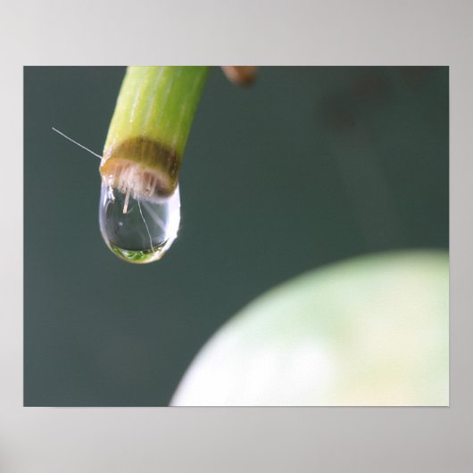 Waterdruppel Poster (Voorkant)
