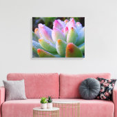 Waterdruppel succulent canvas afdruk (Insitu (Woonkamer))