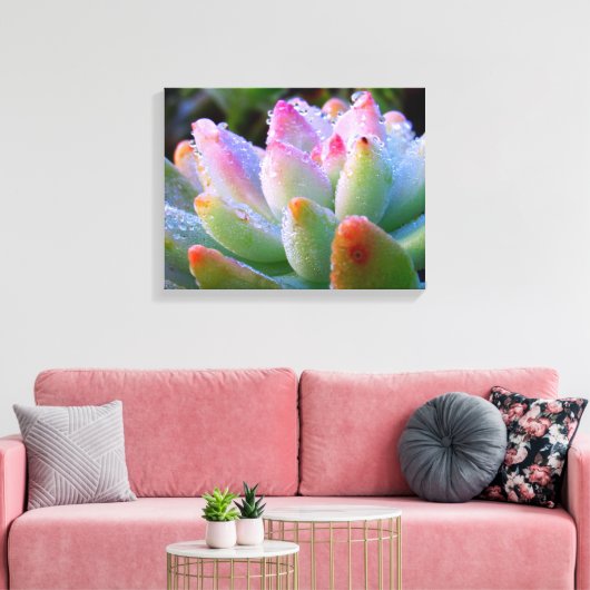 Waterdruppel succulent canvas afdruk (Insitu (Woonkamer))