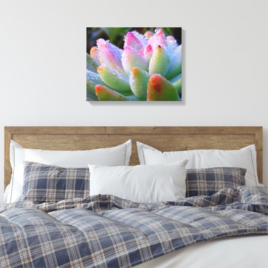 Waterdruppel succulent canvas afdruk (Insitu (Slaapkamer))