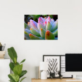 Waterdruppel succulent poster (Thuiskantoor)