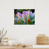 Waterdruppel succulent poster (Keuken)