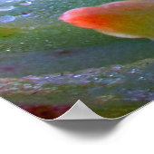 Waterdruppel succulent poster (Hoek)