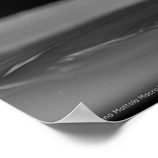 Waterdruppelbotsing in zwart-wit poster (Hoek)