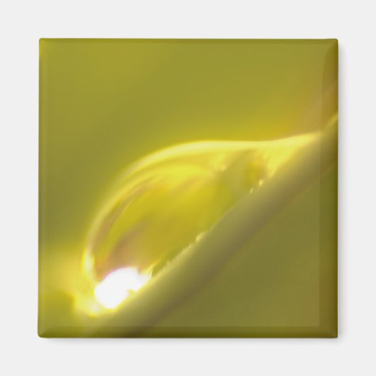 Waterdruppelmagneet 3 magneet (Voorkant)