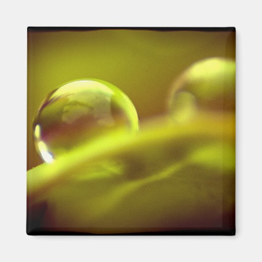 Waterdruppelmagneet Magneet (Voorkant)