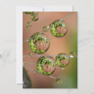 Waterdruppelreflectie Bedankkaart
