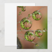 Waterdruppelreflectie Bedankkaart (Voorkant / Achterkant)