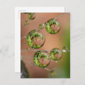 Waterdruppelreflectie Briefkaart (Voorkant / Achterkant)