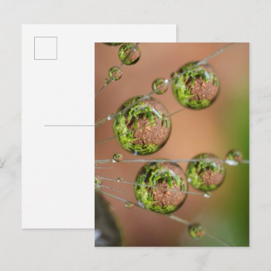 Waterdruppelreflectie Briefkaart (Voorkant / Achterkant)
