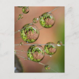 Waterdruppelreflectie Briefkaart