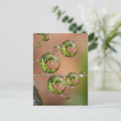 Waterdruppelreflectie Briefkaart (Staand voorkant)