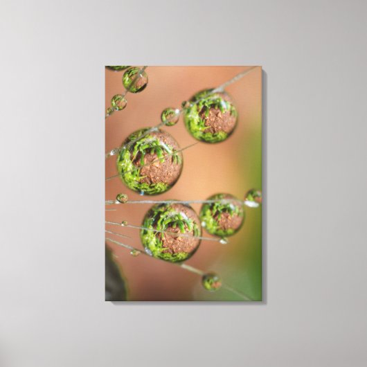 Waterdruppelreflectie Canvas Afdruk (Voorkant)