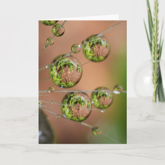 Waterdruppelreflectie Kaart (Voorkant)