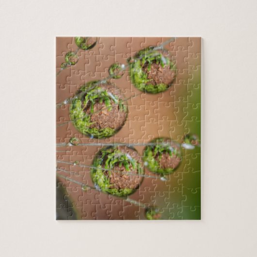 Waterdruppelreflectie Legpuzzel (Verticaal)