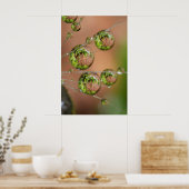 Waterdruppelreflectie Poster (Keuken)