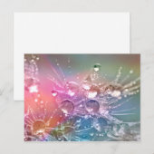 Waterdruppels Briefkaart (Voorkant / Achterkant)