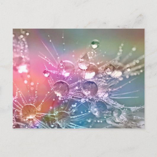 Waterdruppels Briefkaart (Voorkant)