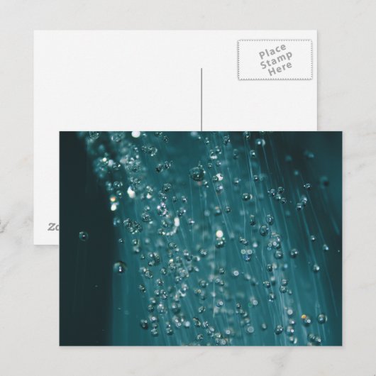 Waterdruppels Briefkaart (Voorkant / Achterkant)