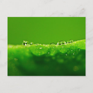 Waterdruppels Briefkaart