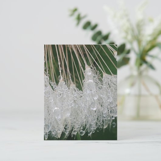 Waterdruppels Briefkaart (Staand voorkant)