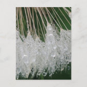 Waterdruppels Briefkaart (Voorkant)