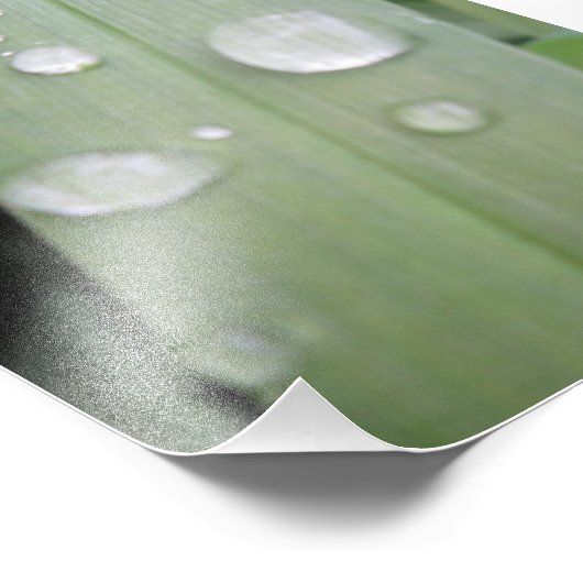 Waterdruppels Foto Afdruk (Hoek)