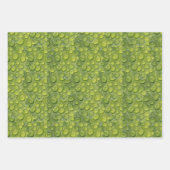Waterdruppels Groen leder Natuur Patroon Inpakpapier Vel (Voorkant 3)