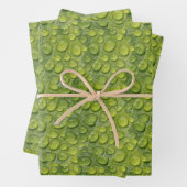 Waterdruppels Groen leder Natuur Patroon Inpakpapier Vel (In situ)