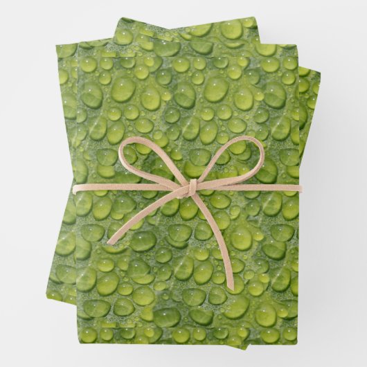 Waterdruppels Groen leder Natuur Patroon Inpakpapier Vel (In situ)