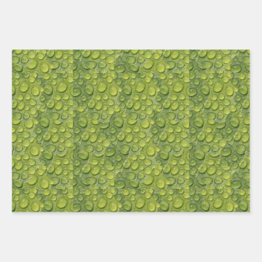 Waterdruppels Groen leder Natuur Patroon Inpakpapier Vel (Voorkant)