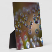 Waterdruppels in beweging fotoplaat (Zijkant)