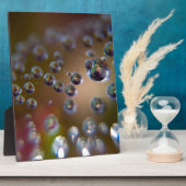 Waterdruppels in beweging fotoplaat (Zijkant)