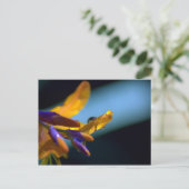 Waterdruppels op benzine briefkaart (Staand voorkant)