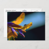 Waterdruppels op benzine briefkaart (Voorkant / Achterkant)