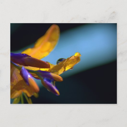 Waterdruppels op benzine briefkaart (Voorkant)