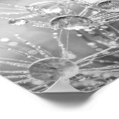 Waterdruppels op Dandelion Fluff Poster (Hoek)