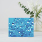 Waterdruppels op Dandelions Briefkaart (Staand voorkant)