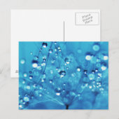 Waterdruppels op Dandelions Briefkaart (Voorkant / Achterkant)