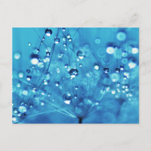 Waterdruppels op Dandelions Briefkaart (Voorkant)