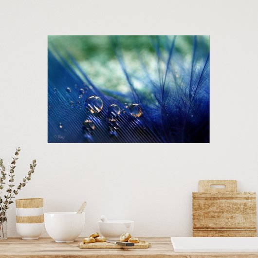 Waterdruppels op doezels poster (Keuken)