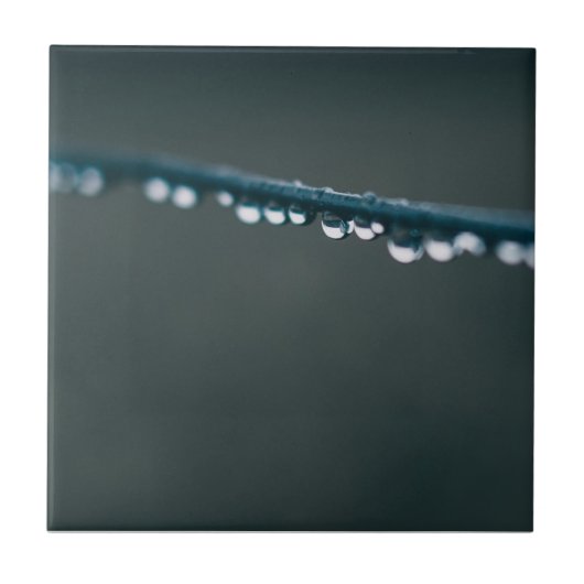 Waterdruppels op draad tegeltje (Voorkant)