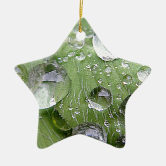 Waterdruppels op een groen blad keramisch ornament (Voorkant)