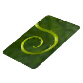 Waterdruppels op een wijnstok magneet (Linkerzijde)