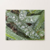 Waterdruppels op gras legpuzzel (Horizontaal)